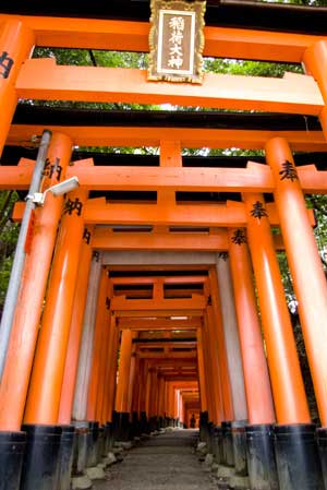 伏見｜千本鳥居と庭園の半日観光で訪れる風景