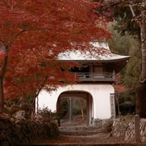 阿弥陀寺の写真 3