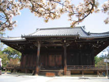 仁和寺の写真 11